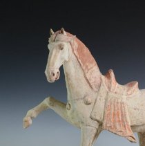 1950.10283 Diverse Cultures-19