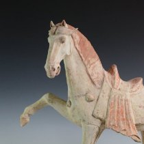 1950.10283 Diverse Cultures-20