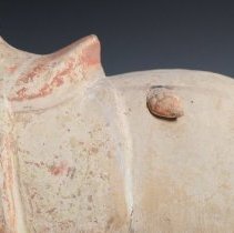 1950.10283 Diverse Cultures-5