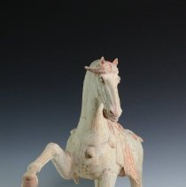 1950.10283 Diverse Cultures-8