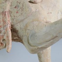 1950.10283 Diverse Cultures-9