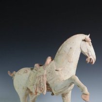 1950.10283 Diverse Cultures-12