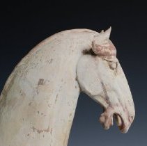 1950.10283 Diverse Cultures-13