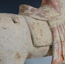 1950.10283 Diverse Cultures-14