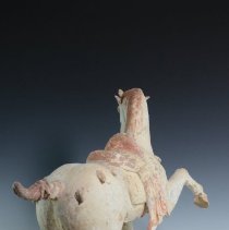 1950.10283 Diverse Cultures-16