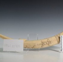 1961.10901 Diverse Cultures-6