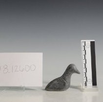 1978.12600 Diverse Cultures-5