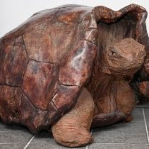 1992.15997 Giant Turtle 3