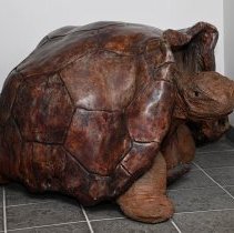 1992.15997 Giant Turtle 1