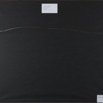 1972.11686 Charles Peterson-back