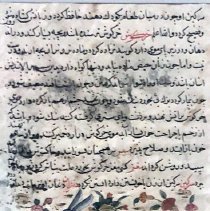 Persian Manuscript Bestiary Page