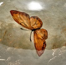 Limoge Line Pitcher Featuring a Butterfly