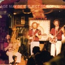 Trio (Tim Allan, Mandolin)