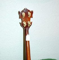 Vega Vox lV Custom Tenor (Pat Terry, Sr.) (resonator view)