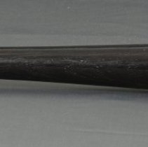 Cincinnati Reds 1975 World Champions Baseball Bat