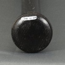 Cincinnati Reds 1975 World Champions Baseball Bat