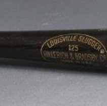 New York Yankees 1976 American League Champions Commemorative Baseball Bat