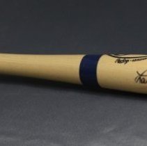 World Children's Baseball Fair Baseball Bat