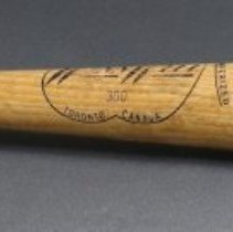Winnwell Baseball Bat