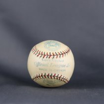 Reach Official League Junior Baseball