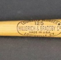 Mini Minor League Baseball Bat