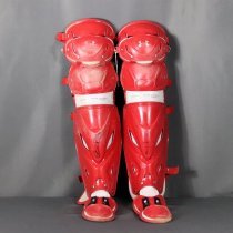 Chris Robinson Leg Guards