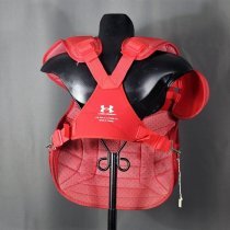 Chris Robinson Chest Protector