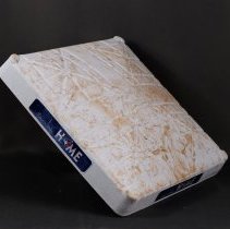 Toronto Blue Jays 2021 First Home Game at Rogers Centre Base