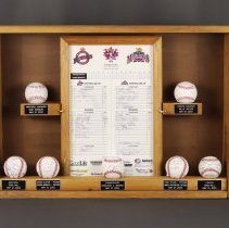 2003.13.1a-i - Display