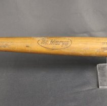 Cooper Baseball Bat