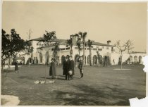 "Constitution Oak" Planted by President Coolidge, The Cloister