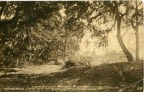 "Pretty Road," Frederica, St. Simons Island