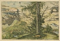 Fig-tree in a mountainous landscape