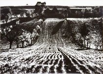 Untitled, from Metamorphosis of Land series