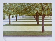 Herrenhausen, Hannover, from the portfolio Twenty Photographic Pictures, 1976