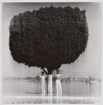 On the Banks of the Nile, Luxor, 1978