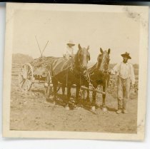 P.B. Head on load of manure. W.G. Maffett's team (May and Trim). Herbert Gaskin (colored) Sept. 5 1916. Near Evergreen Mills Va