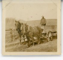 W.G. Maffett & team Maude and Trim