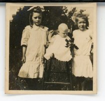 Pauline, Mildred Magdeline & Evangeline Estelle Head
