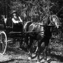 Walter Slee in buggy