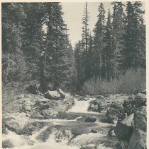 Creek and rapids near PL