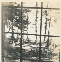 Deer Grazing at the Farris Resort