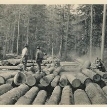 logs coming out of diamond match flume