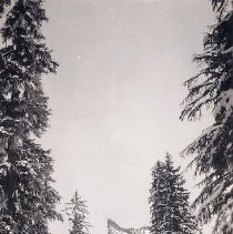 two mouth creek area