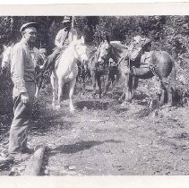 morning camp at Goblin Nob