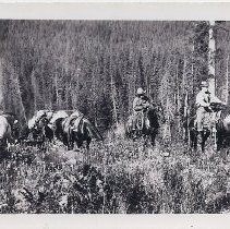 packtrain near Huges Meadows