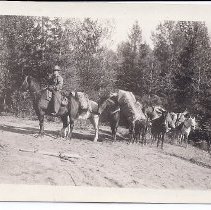 stan spurgeon on lead horse of packtrain