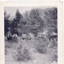 stan spurgeon on lead horse of packtrain