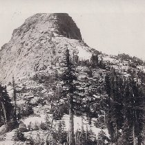 North side  of Phoebe tip