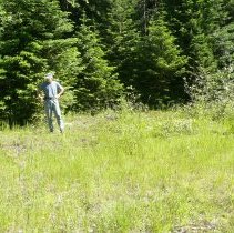 Bismark RS Dispatcher's Caibn